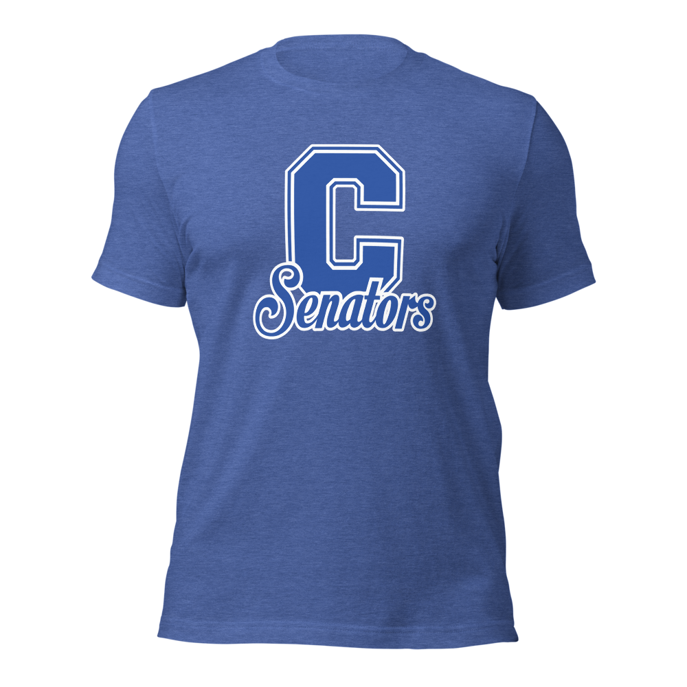 Carson High School Design 1 — Heather True Royal