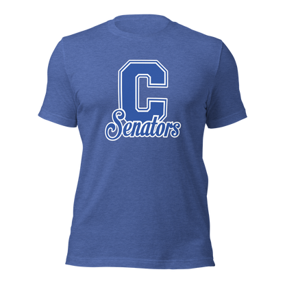 Carson High School Design 1 — Heather True Royal