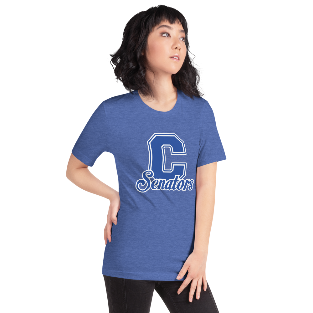 Carson High School Design 1 — Heather True Royal