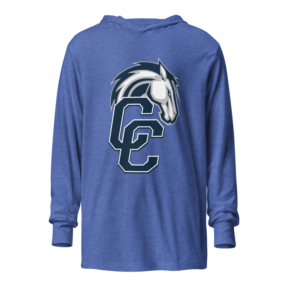 Corner Canyon High School Design 1 — Heather True Royal