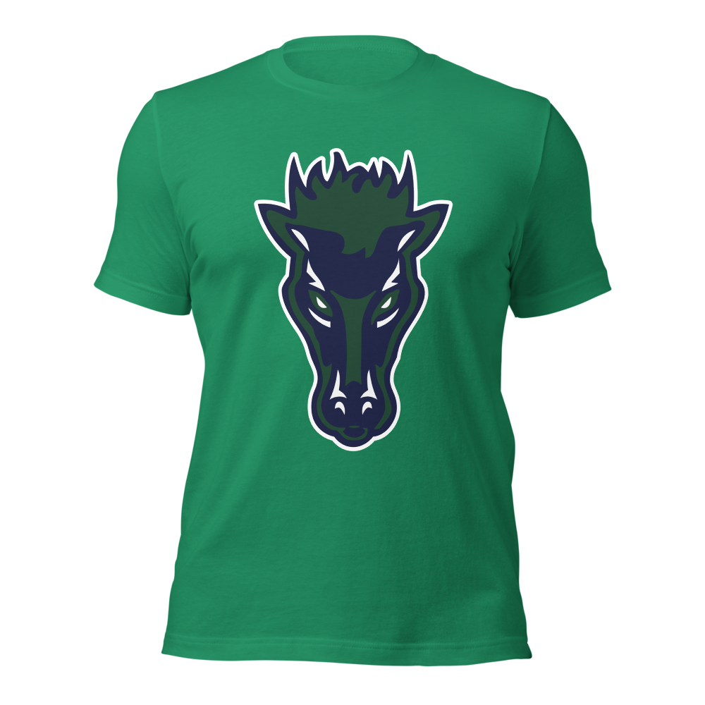 Damonte Ranch High School Design 1 — Kelly