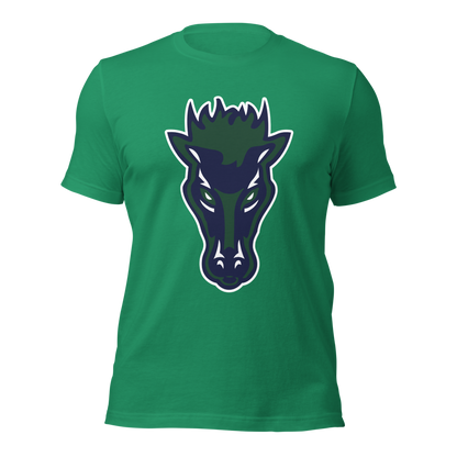 Damonte Ranch High School Design 1 — Kelly