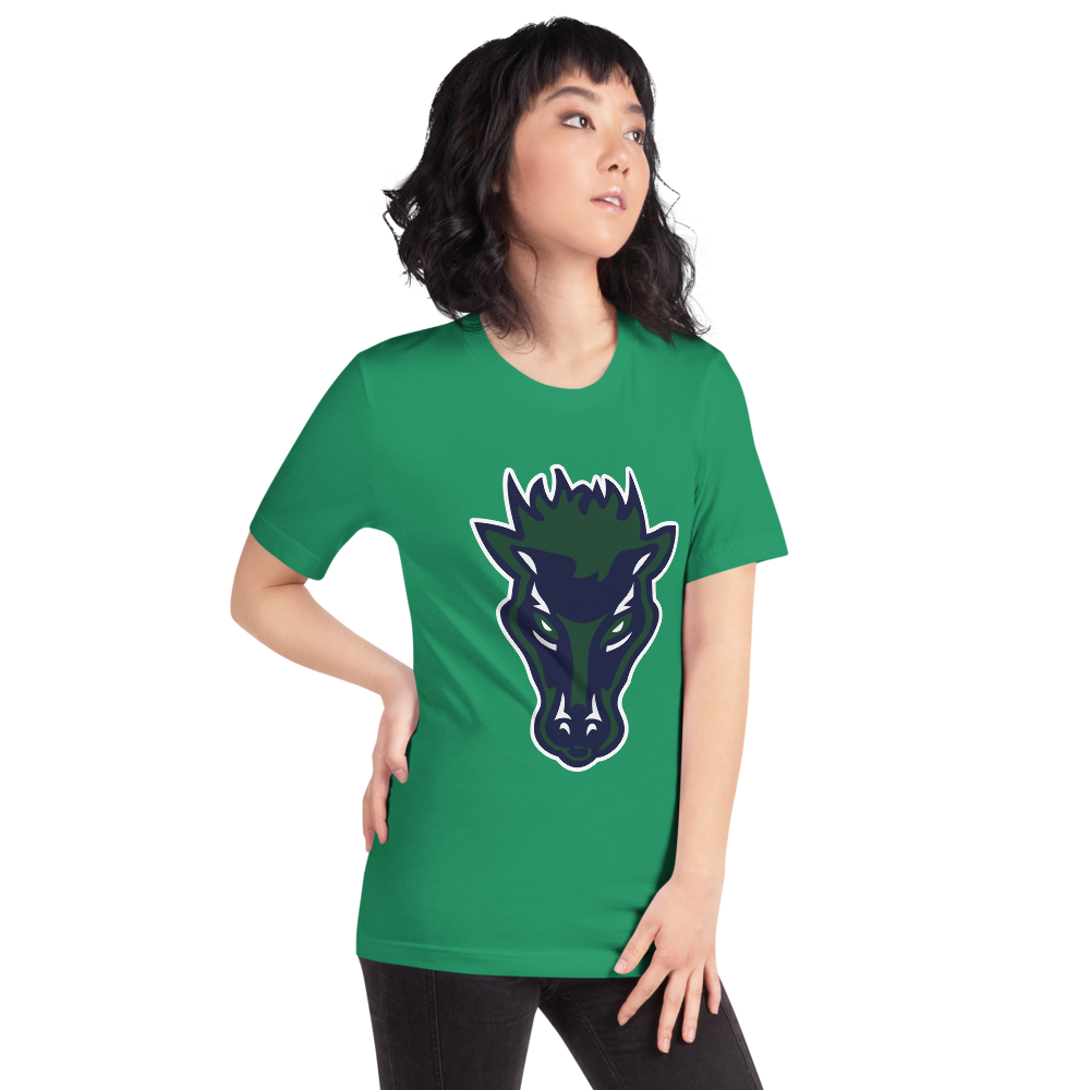 Damonte Ranch High School Design 1 — Kelly