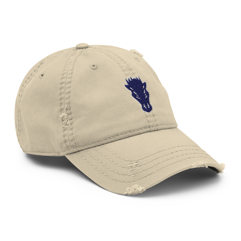 Damonte Ranch High School Design 1 — Khaki