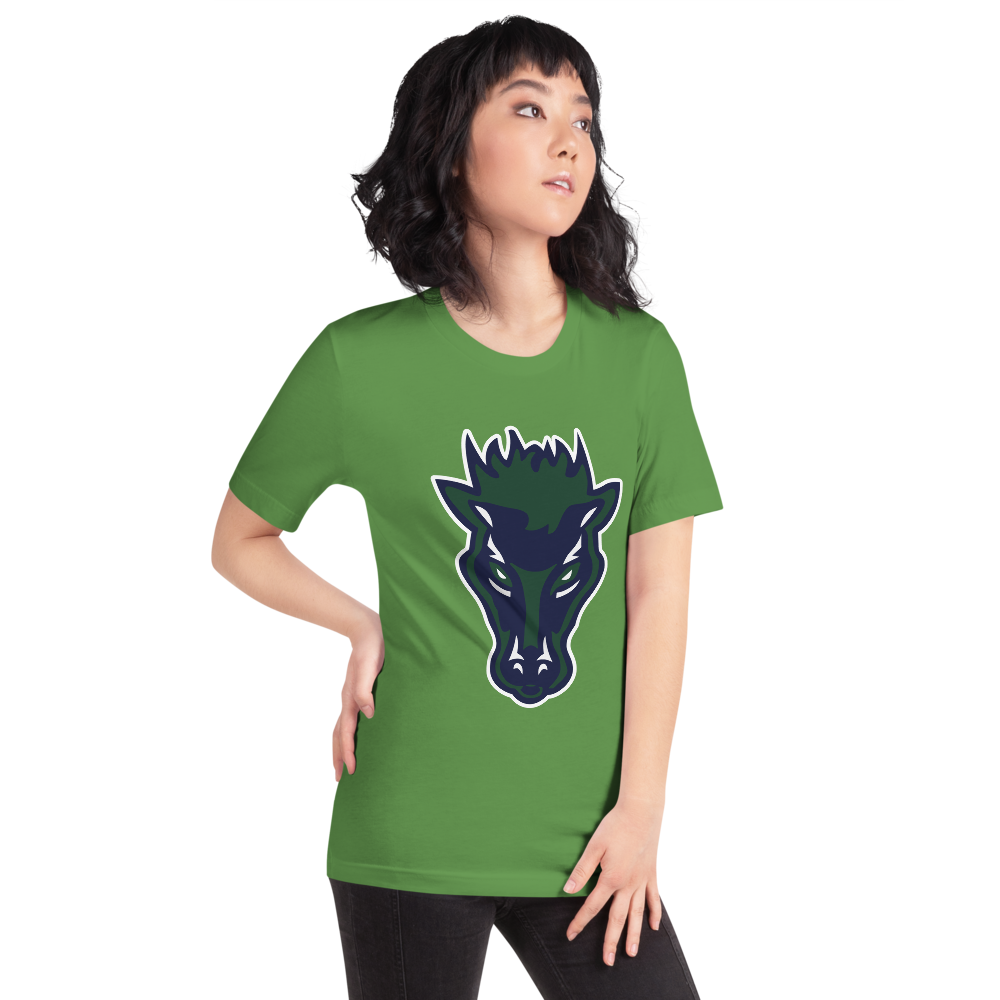 Damonte Ranch High School Design 1 — Leaf