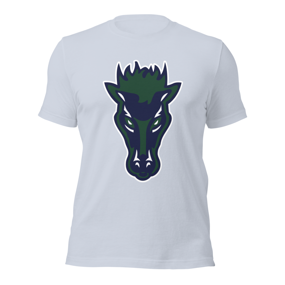 Damonte Ranch High School Design 1 — Light Blue