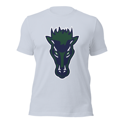 Damonte Ranch High School Design 1 — Light Blue