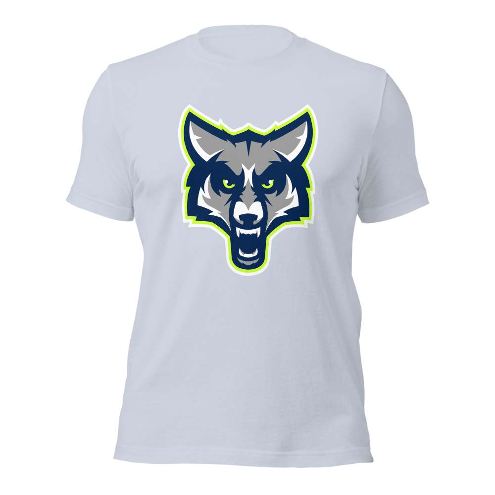 Timpanogos High School Design 1 — Light Blue