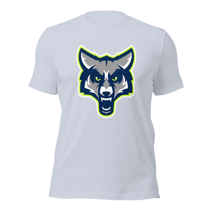 Timpanogos High School Design 1 — Light Blue