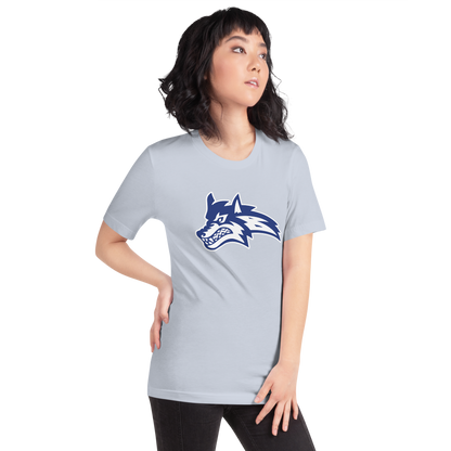 Basic Academy Design 1 — Light Blue