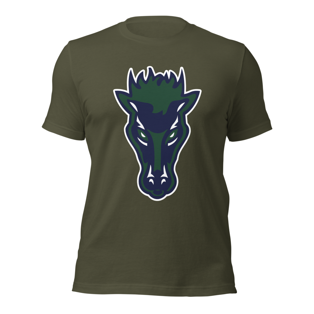 Damonte Ranch High School Design 1 — Military Green
