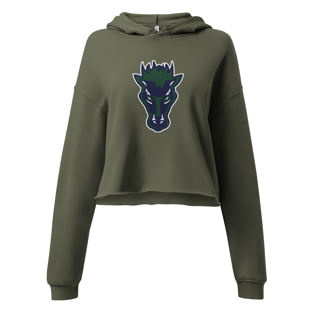 Damonte Ranch High School Design 1 — Military Green