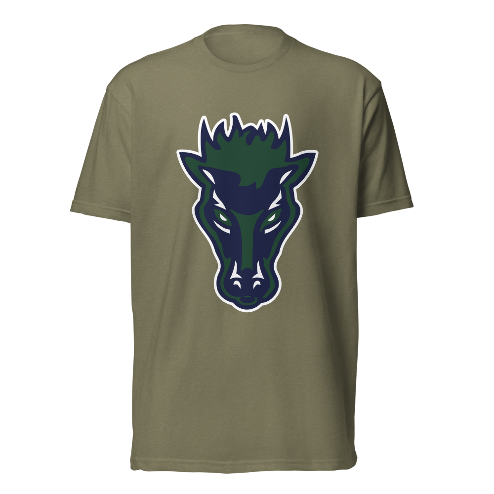 Damonte Ranch High School Design 1 — Military Green