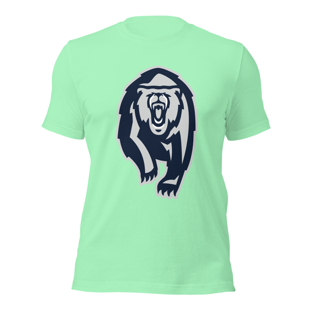 Copper Hills High School Design 1 — Mint