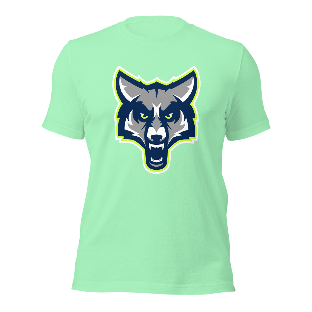 Timpanogos High School Design 1 — Mint