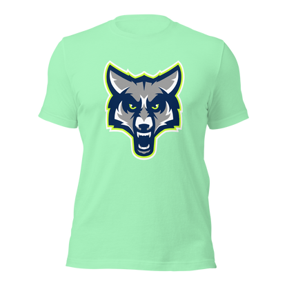 Timpanogos High School Design 1 — Mint