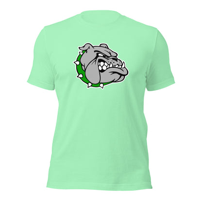 Ashville High School Design 1 — Mint