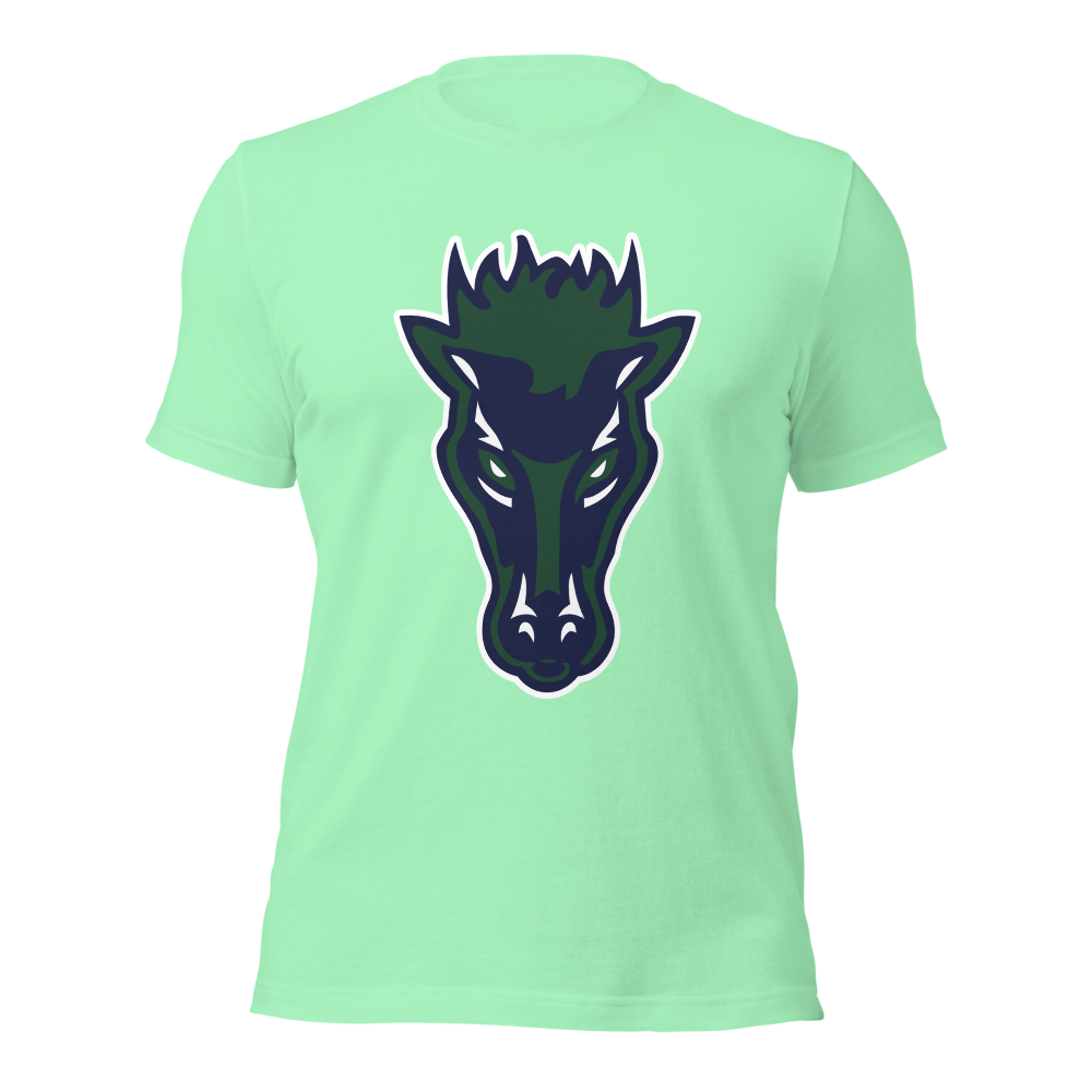 Damonte Ranch High School Design 1 — Mint