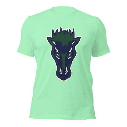 Damonte Ranch High School Design 1 — Mint