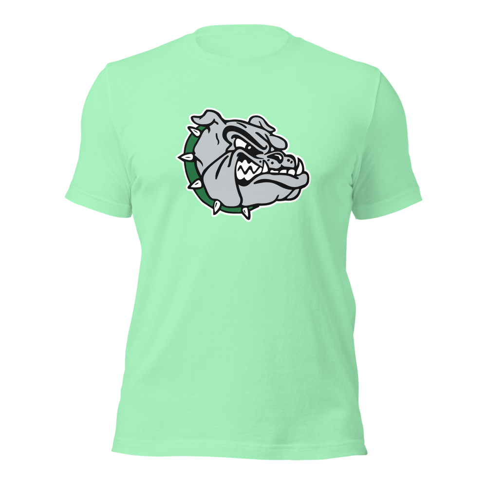 Virgin Valley High School Design 1 — Mint