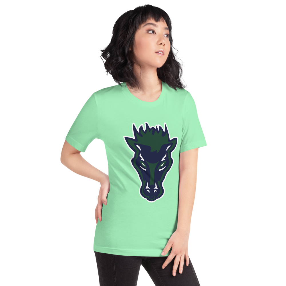 Damonte Ranch High School Design 1 — Mint