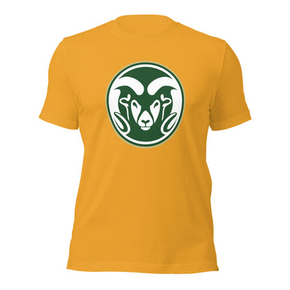Sylvania High School Design 1 — Mustard