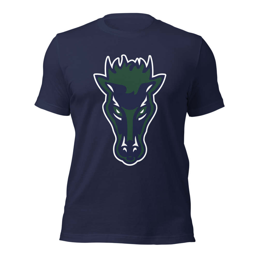 Damonte Ranch High School Design 1 — Navy