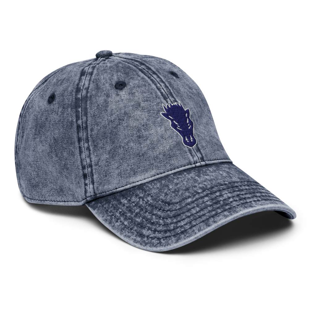 Damonte Ranch High School Design 1 — Navy