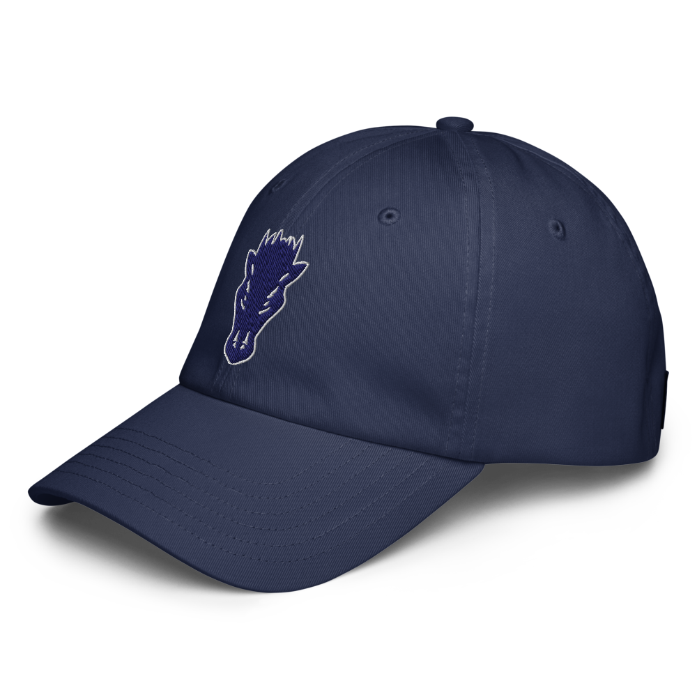 Damonte Ranch High School Design 1 — Navy