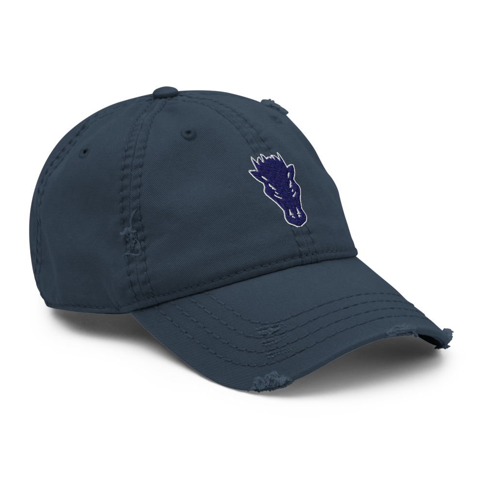 Damonte Ranch High School Design 1 — Navy