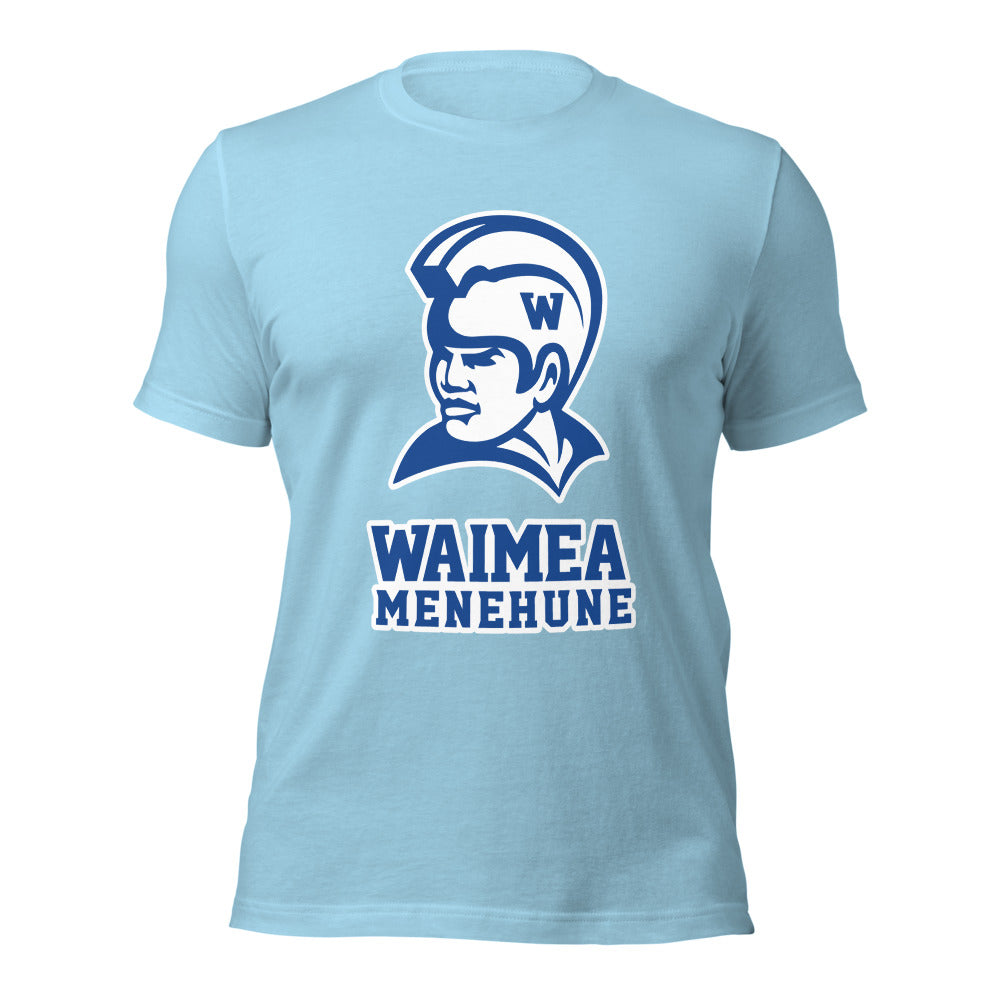 Waimea High School Design 1 — Ocean Blue