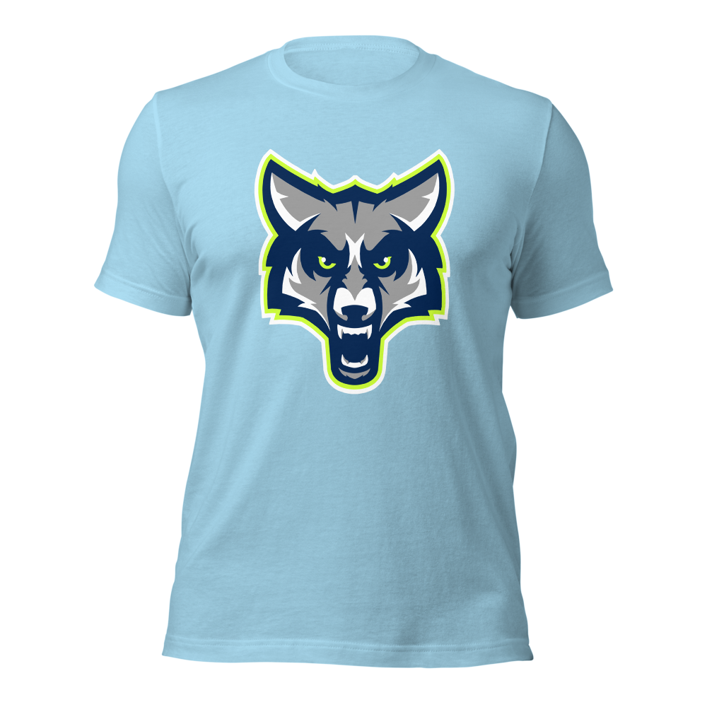 Timpanogos High School Design 1 — Ocean Blue
