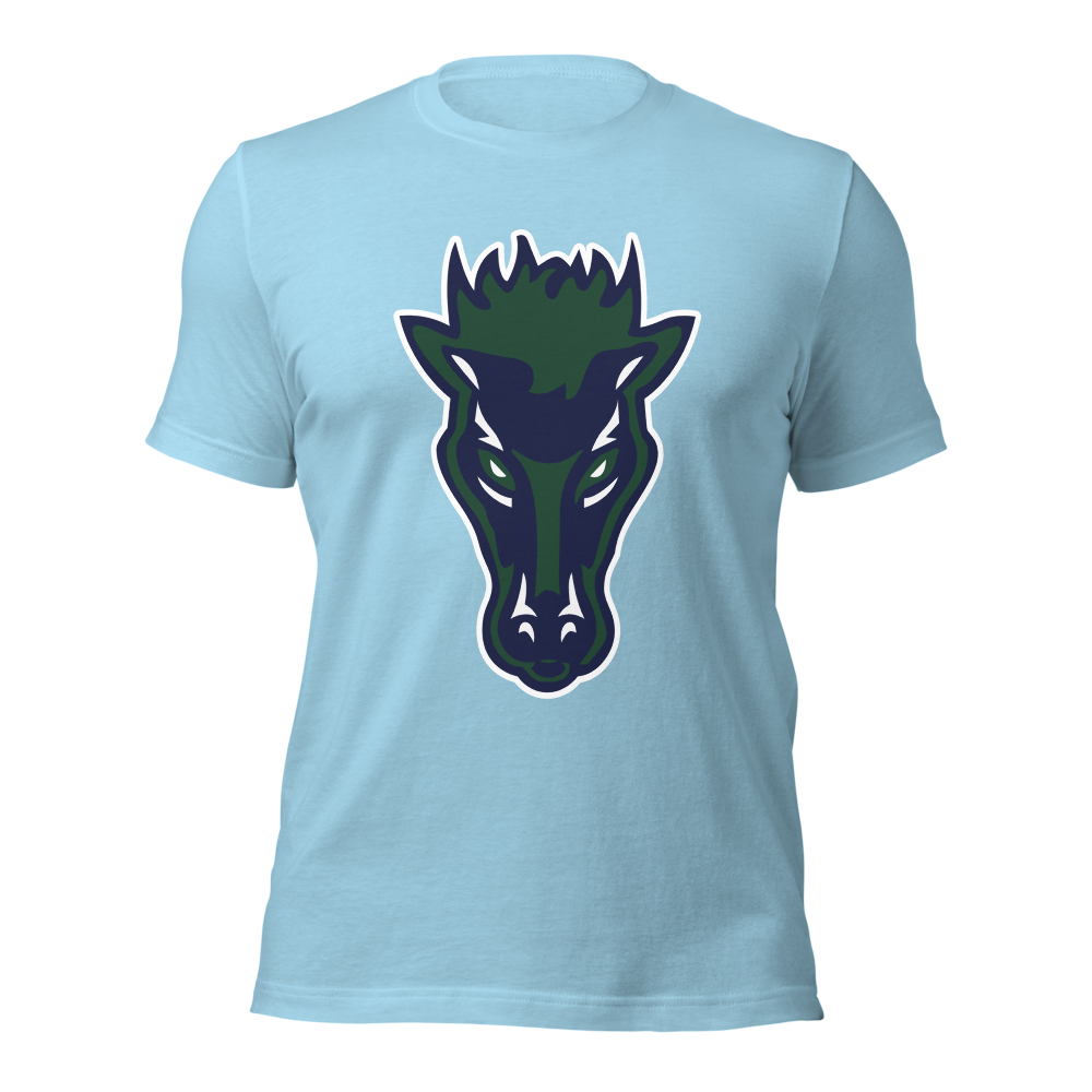 Damonte Ranch High School Design 1 — Ocean Blue