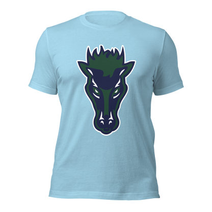Damonte Ranch High School Design 1 — Ocean Blue