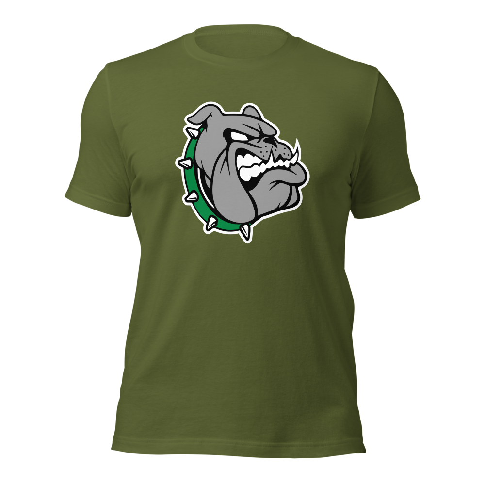 Provo High School Design 1 — Olive