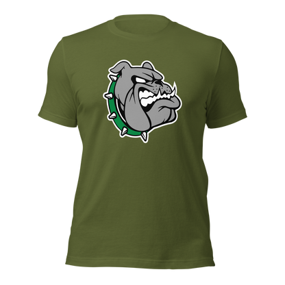 Provo High School Design 1 — Olive