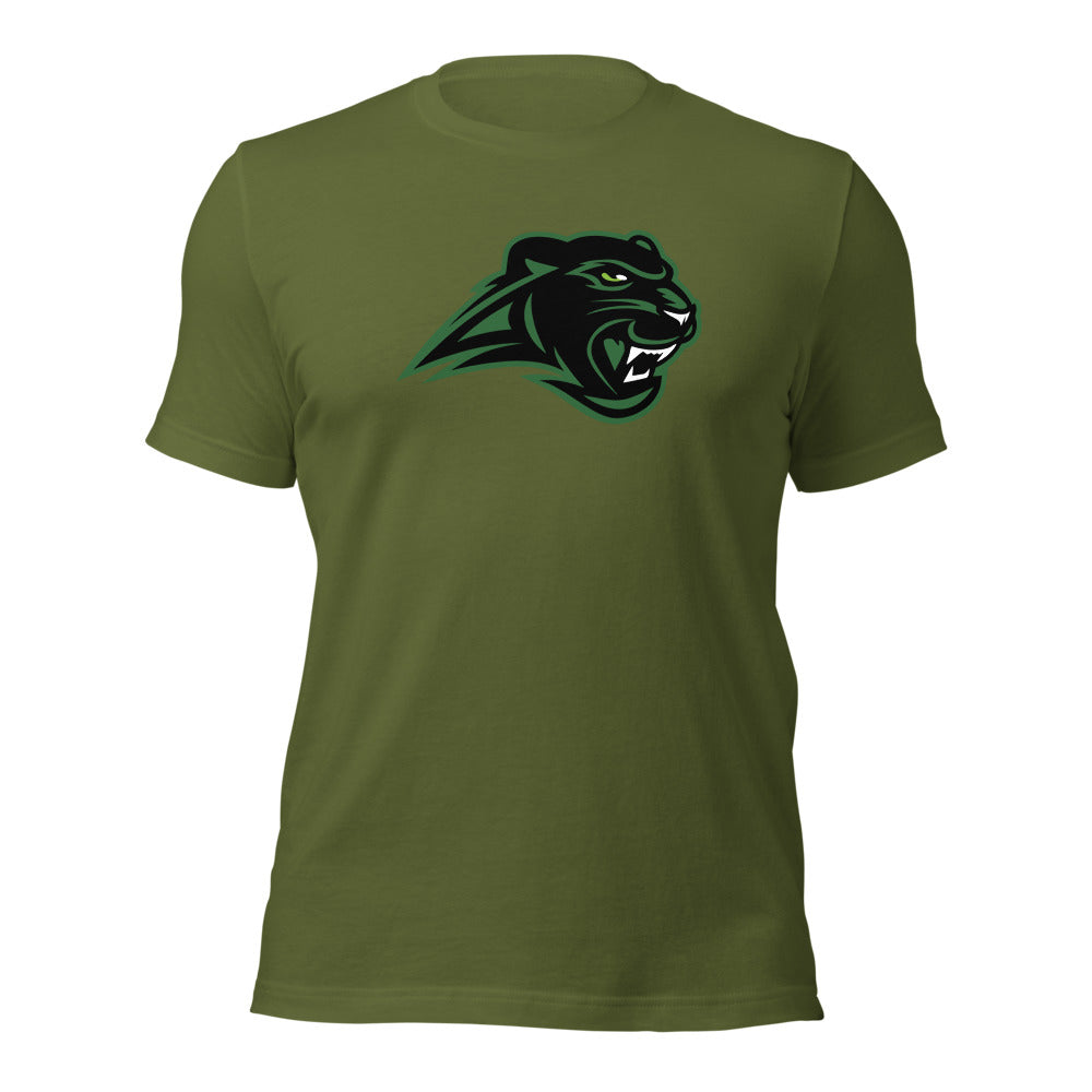 Pelham High School Design 1 — Olive