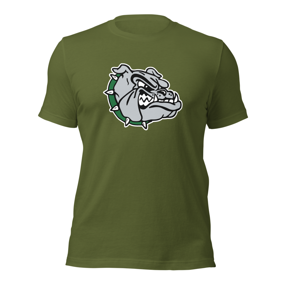 Virgin Valley High School Design 1 — Olive