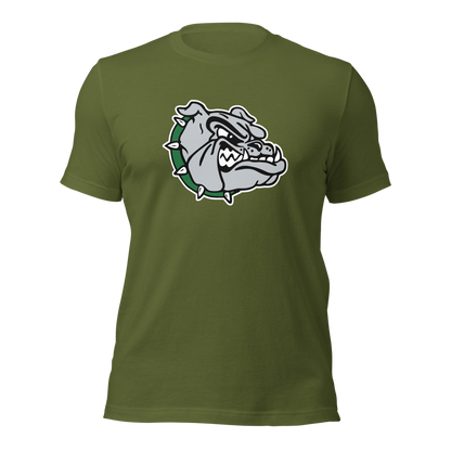 Virgin Valley High School Design 1 — Olive