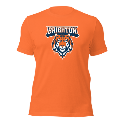 Brighton High School Design 1 — Orange