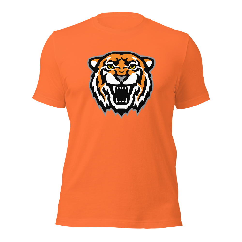 Ogden High School Design 1 — Orange