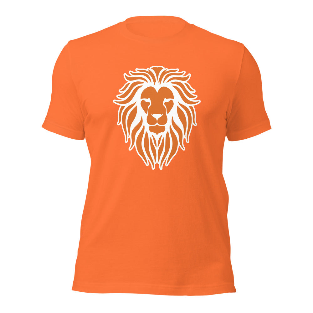 Brooks High School Design 1 — Orange
