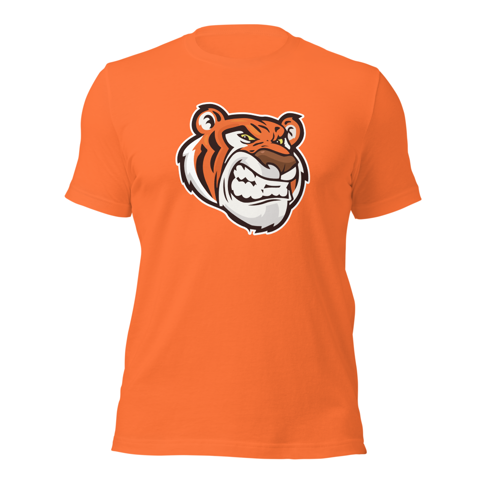 Tabiona School Design 1 — Orange