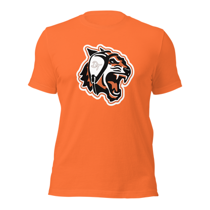 Douglas High School Design 1 — Orange