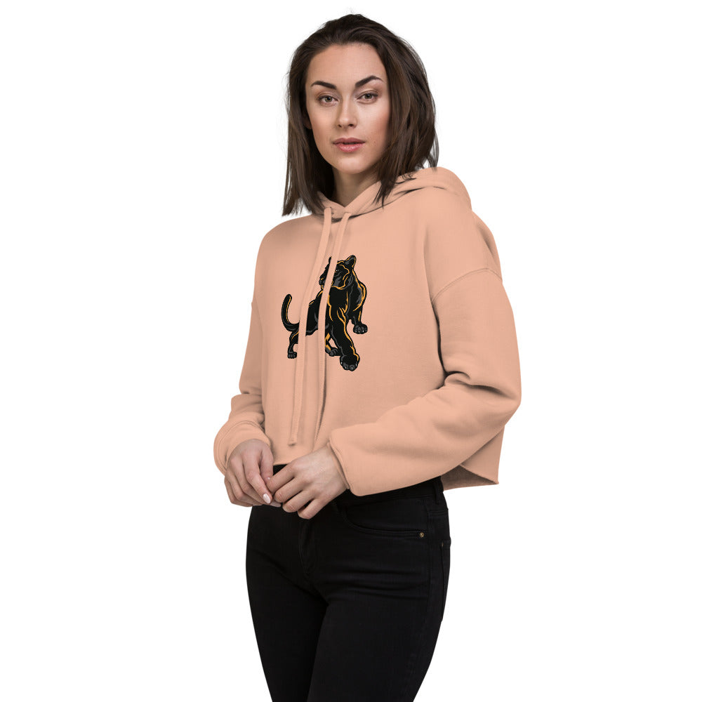 Marengo High School Design 1 — Peach