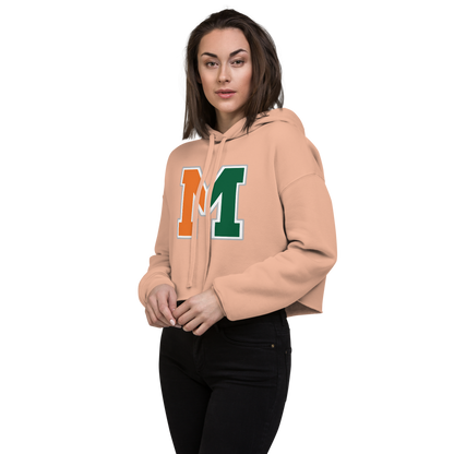 Mojave High School Design 1 — Peach