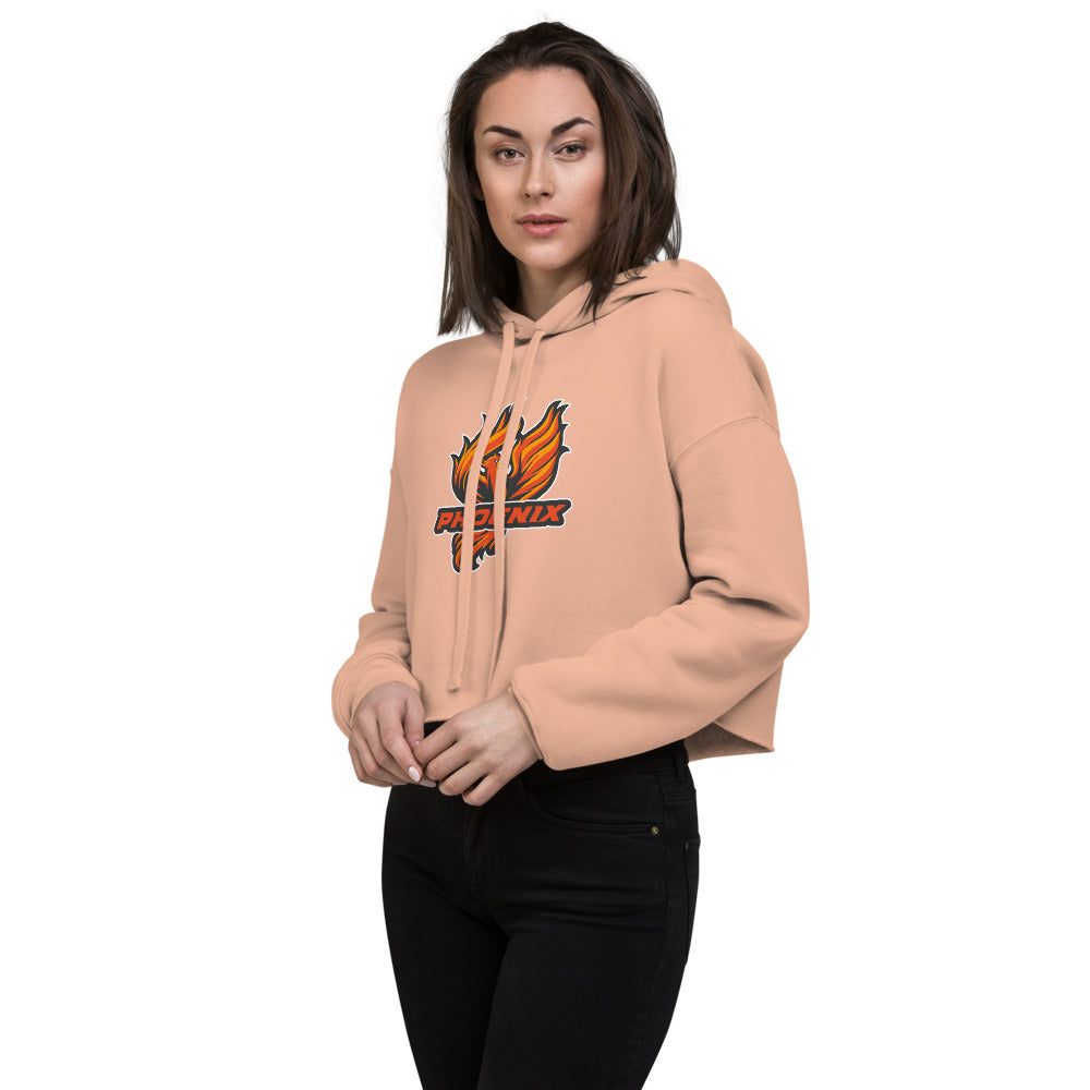 Percy Julian High School Design 1 — Peach