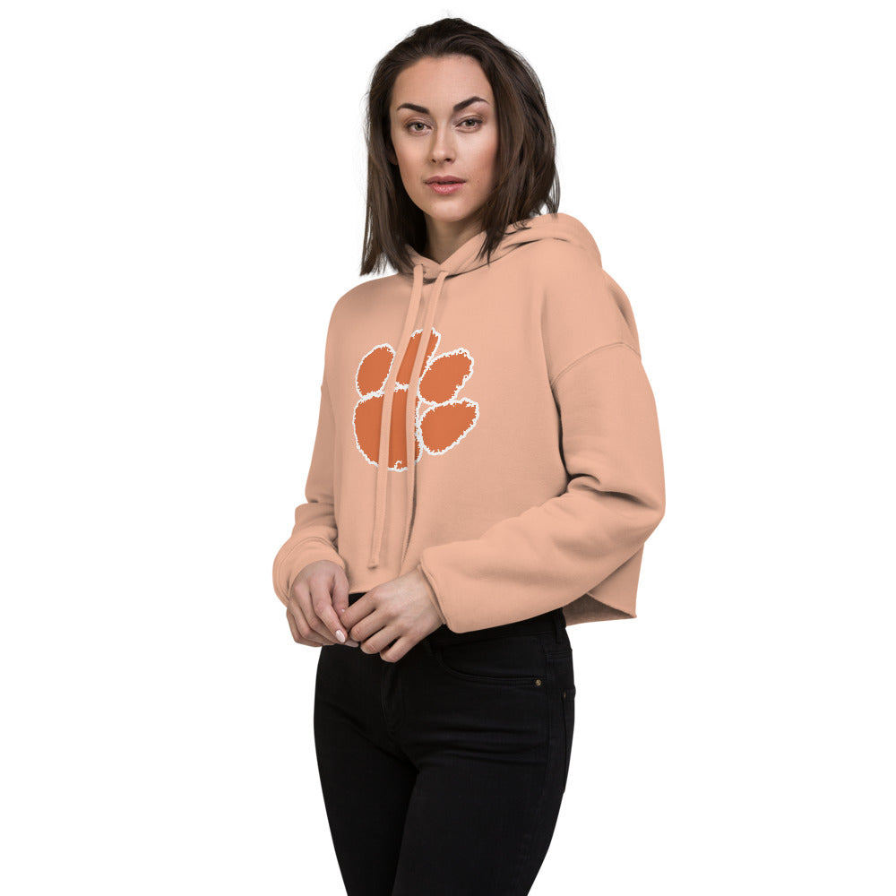 Meek High School Design 1 — Peach