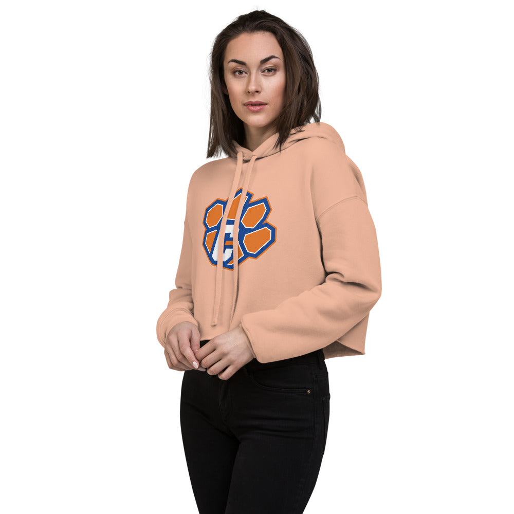 Chilton County High School Design 1 — Peach