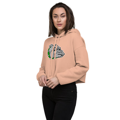 Ashville High School Design 1 — Peach